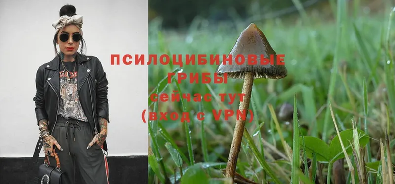 Галлюциногенные грибы Magic Shrooms  Мензелинск 